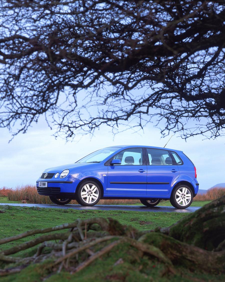  Volkswagen Polo 2002 года  (фото 7 из 31)